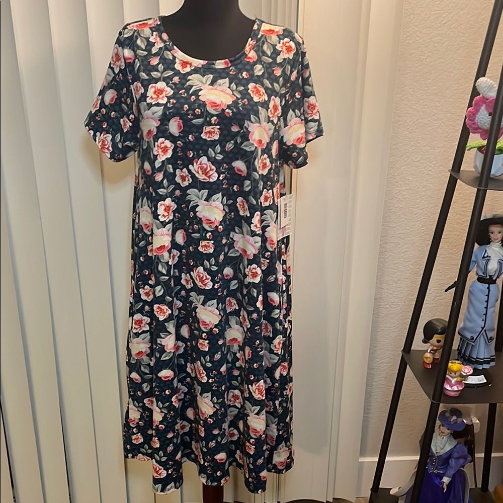 LuLaRoe Pink and Blue Flutter Sleeve Midi Dress